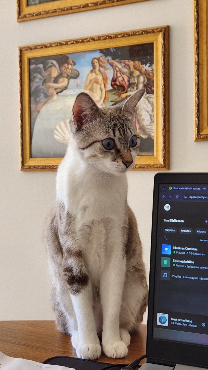 Sétima foto