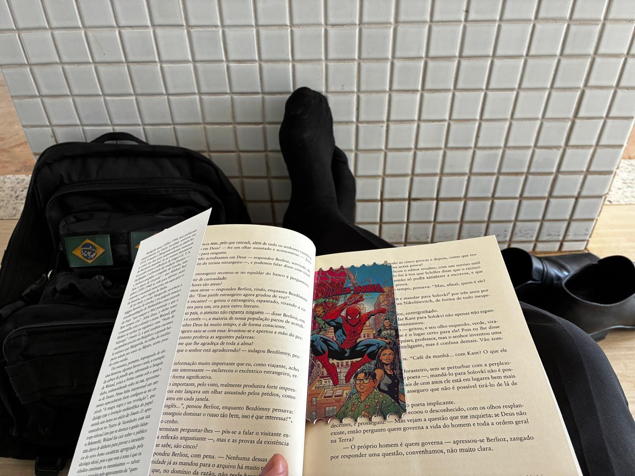 Imagem relacionada ao livro O Mestre e Margarida
